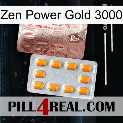 Zen Power Gold 3000 new13
